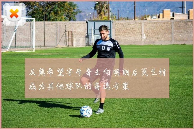 灰熊希望字母哥去向明朗后莫兰特成为其他球队的备选方案