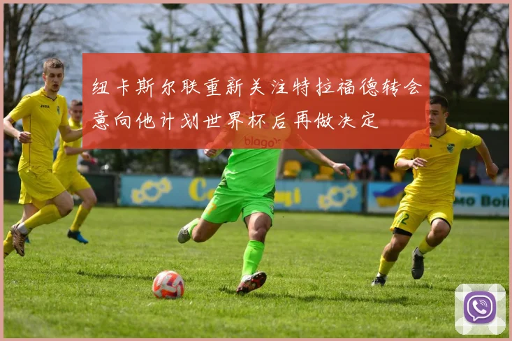纽卡斯尔联重新关注特拉福德转会意向他计划世界杯后再做决定