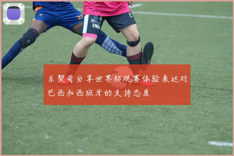 东契奇分享世界杯观赛体验表达对巴西和西班牙的支持态度